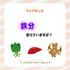 鉄分足りていますか？/和歌山市小児歯科、和歌山市予防歯科、和歌山市小児矯正