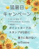 暑い日限定！ポイントカード2倍！「猛暑日キャンペーン開催のお知らせ（9月30日まで）」