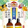 売店 杜の酒蔵　酒泉の杜限定「宮崎マンゴーの発泡酒」「宮崎日向夏の発泡酒」好評発売中！