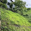 ビフォー＆アフター｜防草シート付き人工芝で雑草とおさらば