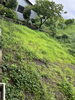 「ビフォー＆アフター｜防草シート付き人工芝で雑草とおさらば」
