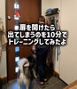 「＼玄関の扉を開けたら出てしまうを10分でトレーニングしてみた🚪／」