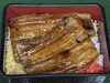 「7/26限定・浜名湖産うなぎ持ち帰り予約販売と店内うなぎメニューのご案内」
