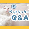【Q&A】『初めてのシッター』でよくいただく疑問、本音で答えます！