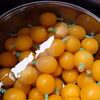 夏のおやつに「みかん風船ゼリー」を少しずつ仕込み中です