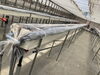 土がしっかりと温度を上げられるように透明マルチシートを張ります「いちごベッド全てに透明マルチ！太陽熱消毒の準備が整いました♪」