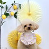 わんことレモン🍋