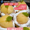 白桃ブリオッシュ　岡山市北区パン屋　Bancho　Bakery
