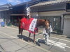 「加藤組の村上大祭【村上市の総合建設業｜加藤組】」
