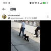 犬のしつけ教室#１歳前後の犬たち#堺市#泉大津市のお客様たち