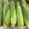 7月19日（日）は日曜朝市！とうもろこし2種と夏野菜＆夏果物が勢ぞろい