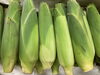甘みたっぷり！とうもろこしをどうぞ「7月19日（日）は日曜朝市！とうもろこし2種と夏野菜＆夏果物が勢ぞろい」