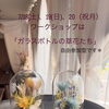 「ガラスボトルの草花たち」のワークショップ