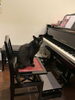 静かな時間、黒猫とピアノ「くろねこ音楽教室｜さまざまな楽器を楽しく学べるアットホームなレッスン」