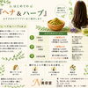 🌿はじめの一歩を踏み出したアナタを美髪へ導くプラン🌿