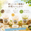 オープンから6か月の感謝と夏季限定「プリンシェイク」のご案内🍮