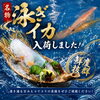 名物・泳ぎイカ入荷のお知らせ