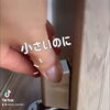小さいのに有能すぎ？！