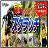 何が出るかな？昆虫スクラッチ「夏企画♪昆虫スクラッチ7/19(日)13時30分～」