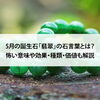 【5月の誕生石「翡翠」の石言葉とは？怖い意味や効果・種類・価値も解説】