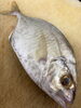 新鮮さが活きる！旬の魚をご堪能「忘れてました！」
