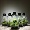 人気クリエイター「Mosslight」内野敦明さん来店！尼崎で特別開催・一生ものの苔インテリアワークショップ
