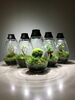 一生ものの苔インテリア「Mosslight」「人気クリエイター「Mosslight」内野敦明さん来店！尼崎で特別開催・一生ものの苔インテリアワークショップ」