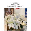 魚沼市の和食料理店　旬食や　香秀(かしゅう)です　営業のお知らせ！