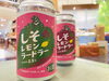 🧸🍁🍋🚲「ベアレンビールの新商品が登場🍺🧸」