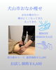 「犬山市でおなか痩せにお悩みの方へ 部分痩せコース初回6,600円（税込）」