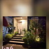 植物に囲まれた夜の玄関と、ほうじ茶デザートのご案内