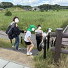 涸沼自然研究会　草を観察しよう！第1回を開催いたしました🍃