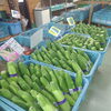 あしん広場で旬の野菜、果物を！
