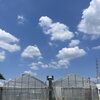 太陽熱消毒は明日から本番！今日は最終チェックと予行練習♪