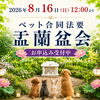 【8月16日開催】ペット合同法要「盂蘭盆会」のご案内｜当日参列できない方も供養できます