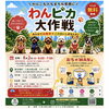 わんピカ大作戦！！
