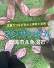 「足元から、身体を変えてみませんか？👣」