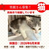 【愛媛県西条市】里親募集のお知らせ！