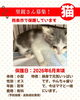 「【愛媛県西条市】里親募集のお知らせ！」