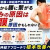 【右の背中から腰が痛い】原因は脚から繋がる筋膜の可能性があります｜松江市にある神経×筋膜整体で根本改善を目指す【松江・出雲・米子・整体・根本改善】