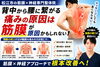 背中から腰の痛み「【右の背中から腰が痛い】原因は脚から繋がる筋膜の可能性があります｜松江市にある神経×筋膜整体で根本改善を目指す【松江・出雲・米子・整体・根本改善】」