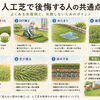 🌿 第2回｜人工芝で後悔する人の共通点｜失敗しないために知っておきたいポイント