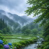 大雨時行（たいうときどきふる）☔🌿