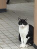 うさぎちゃんが佇んでいました。「1995年の創業から育んだ確かな探偵力で必ず「あなた」の抱えている問題を解決致します。無理な営業は一切致しません。ご安心下さい。」