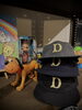 「2026.7.22 wed  STYLE FACTORY SHOP OPEN」