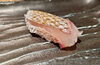 「【暑気払いに】お鮨・うな丼・飲み放題で夏を楽しみませんか？」