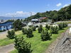 ヘーゼルナッツ圃場7「7月22日の生アイス【諏訪市のおすすめのスイーツカフェ⭐️ヘッツ¥」
