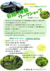 「【予約受付中】 夏休み！！　苔貼り体験ワークショップ　」