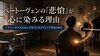 大人になったからこそ沁みる音「クラシック音楽が心に染みる感覚と、これからの「聴く時間」について」