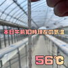 地温64度まで上昇！太陽熱だけでしっかり消毒できました♪